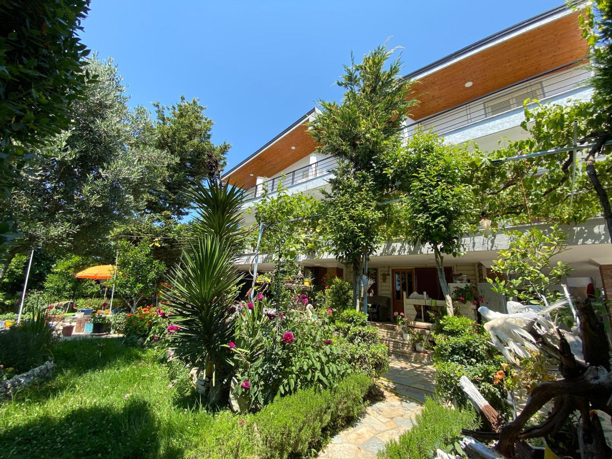 Bellavista Villa Durrës Extérieur photo
